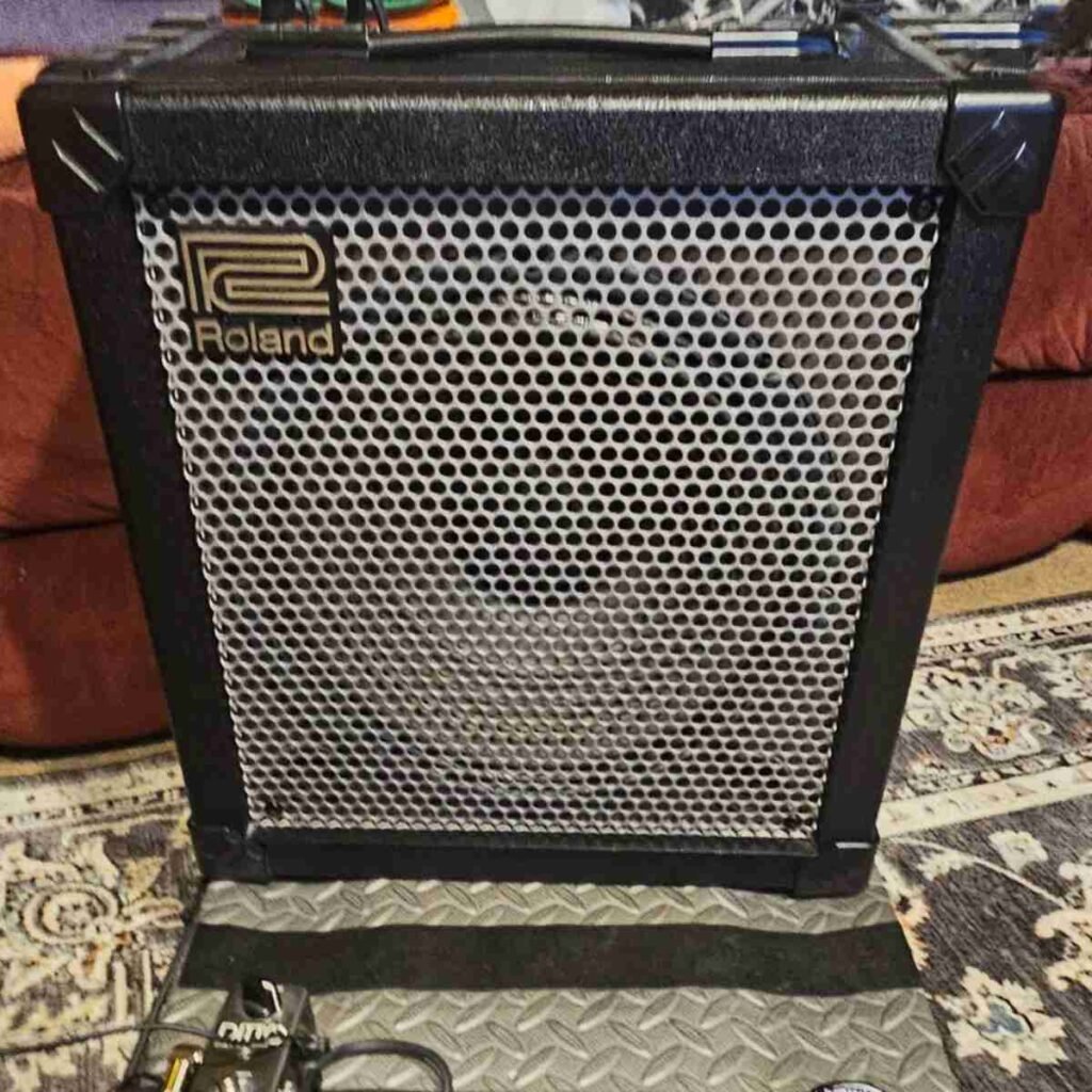 Roland Cube 60 — Close‑up grille and logo — Tight detail of the metal grille and white Roland logo in the upper left corner.